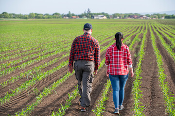 Young farmers examing planted young corn