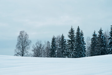 Images from the Boverbrurunden skiing round trip through the cultural landscape of Toten, Norway, in winter.