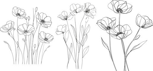 Poppy flower line art. Minimalist contour drawing - obrazy, fototapety, plakaty