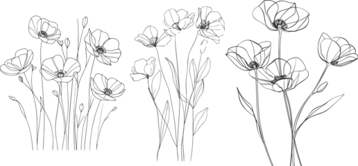 Fotobehang Poppy flower line art. Minimalist contour drawing © Mark