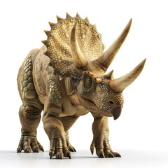 Fototapeta premium Triceratops, realistic illustration of the dinosaur isolated on white background