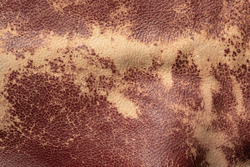 A detailed look at a section of brown leather showcasing its rich texture and shabby highlights...