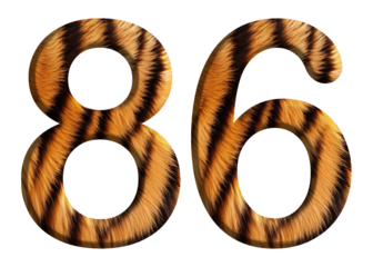 The shape of the number 86 is made of tiger fur or tiger skin isolated on transparent background. suitable for birthday, anniversary and memorial day templates