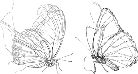 Butterfly in One continuous line drawing