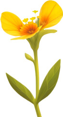 Primrose clipart. A cute Primrose flower icon.