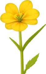Obraz premium Primrose clipart. A cute Primrose flower icon.