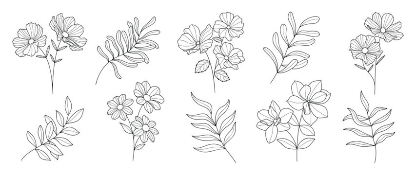 Set botanical hand drawn element vector. Collection of foliage, branch, floral, leaves, wildflower in line art. Minimal style blossom illustration design for logo, wedding, invitation, decor.