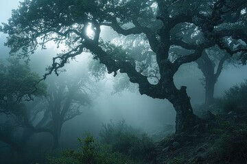 A foggy atmosphere engulfs a densely packed forest, emphasizing the abundance of tall, leafy trees, Dense fog covering an ancient woodland, AI Generated