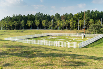 lawn and trees in the garden