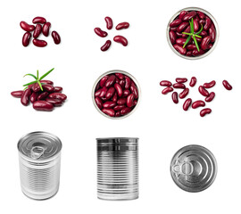Red Kidney Beans Set Isolated