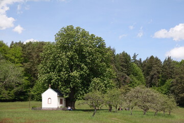 Kapelle Herrin der Berge bei Heimbuchenthal