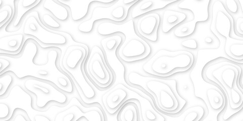  Abstract geometric layered curve line white background. 3d white papercut topography relief. Cover layout template. paper cut topography soft background banner texture. light liquid wave illustration