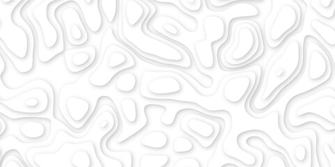 3d render, abstract white paper background. Paper cut vector art background banner texture. multi layer cutout geometric pattern on vector, Abstract soft white background with waves.	