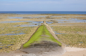 Ebbe an der Ile de Re