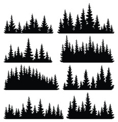 Set of fir trees silhouettes. Coniferous spruce horizontal background patterns, black evergreen woods vector illustration. Beautiful hand drawn panoramas of coniferous forest © designer_things