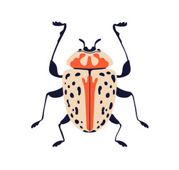 Spotted beetle. Fancy fiction wild bug icon, top view. Fantasy fauna species. Summer animal, wild insect with spotty wings pattern. Flat vector illustration isolated on white background - 740561337