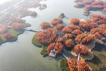 Aerial view, forests and lakes