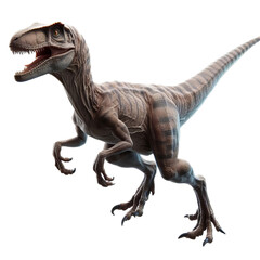 raptor isolated on transparent background