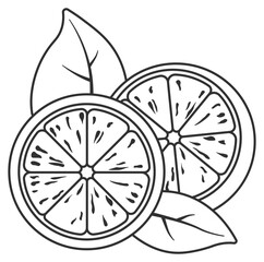 black and white lemon drawing without background
