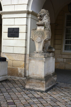 Lion symbol monument, Town hall. Lviv, Ukraine.