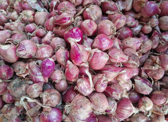 fresh local shallots or red onion , concept of organic vegetables and fresh food ingredients, full frame shot for background.