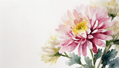 Watercolour of a chrysanthemum on pure white background canvas, copyspace on a side