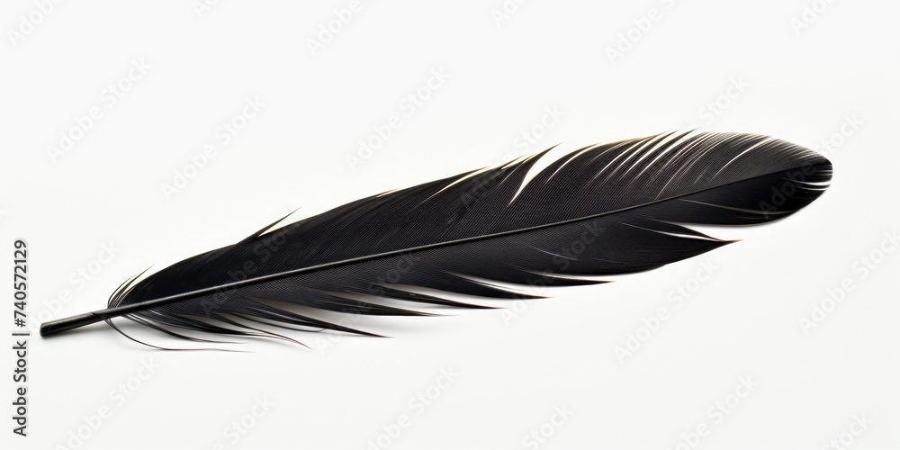 Aufkleber a single black feather against a stark white backdrop. suitable for various design projects