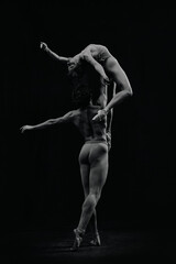 Fototapeta na wymiar Artistic, talented and passionate ballet dancers, man and woman making fascinating performance. Monochrome. Concept of classic art, aesthetics, emotions, ballet dance, talent