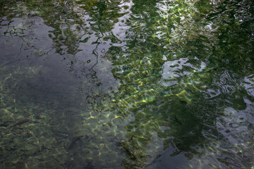Bottom lake underwater. Sun reflection on the waves. Nature background. Selective focus