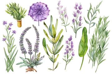 Lavender flowers isolated on white background, surrounded by leaves and grass, in a illustration depicting a serene floral pattern
