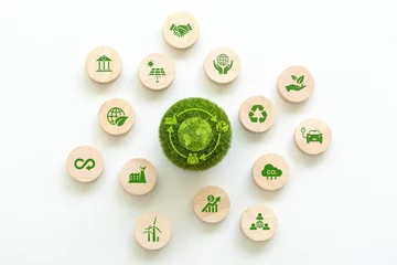Foto op Plexiglas LCA-Life cycle assessment concept.A green ball with an LCA icon. environmental impact assessment related to product value chains. Business value chain and Growing sustainability.Circular economy © Pcess609