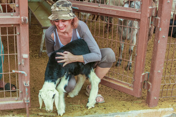 A girl pets a baby goat on a farm. The goat enjoys the attention and the peaceful atmosphere of the...