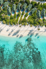 Aerial landscape view of tropical summer palm trees shadows on sandy coast ocean waves splash crash. Beautiful top view sunny sea coast, exotic amazing nature landscape. Abstract Mediterranean tourism