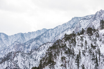 Seorak Mountain winter scenery covered in snow. Seoraksan, snow mountain