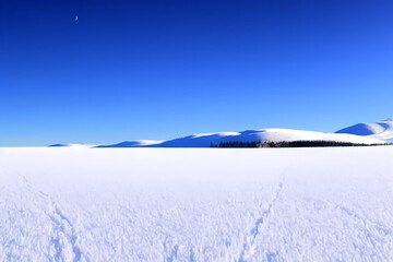 winter mountain landscape, generative ai