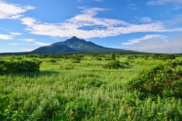 Obraz premium 利尻島の夏景色