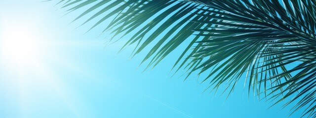Fototapeta na wymiar Tropical Serenity: Palm Leaves Basking in the Warmth of a Summer Sky - Generative AI