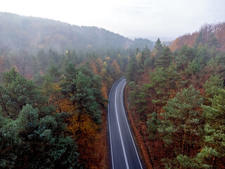 The view from above, an empty road through the forest. Aerial view.