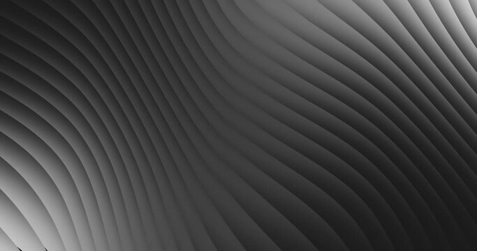 Grey gradient waves. Seamless loop 3D animation, abstract motion background
