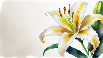 Watercolour of a lily on pure white background canvas, copyspace on a side