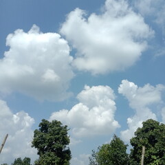 clouds and trees