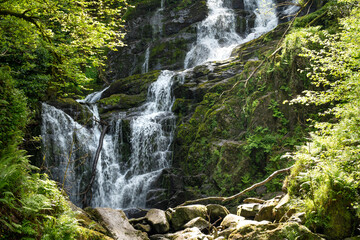 Torc Waterfall, one of most well known tourist attractions in Ireland, located in scenic woodland...