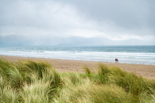 Inch beach, wonderful 5km long stretch of sand and dunes, popular for surfing, swimming and fishing, located on the Dingle Peninsula, County Kerry, Ireland