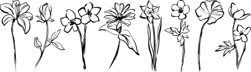 Black and white silhouette Illustration collection. Abstract hand-drawn flower in minimalist style set.