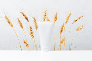 Cosmetic product on the table, white container for skin care decorated wheat ears - 740621747