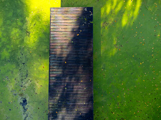 Aerial view landscape. Empty wooden footbridge, path. Green water, algae, pond. Empty everywhere.