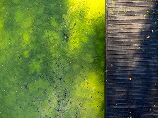Aerial view landscape. Empty wooden footbridge, path. Green water, algae, pond. Empty everywhere.