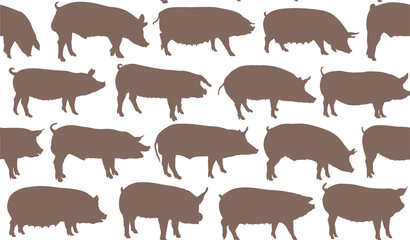 The seamless background with domestic pigs. 
