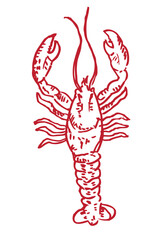 Lobster pen and ink doodle art. Editable Clip Art.