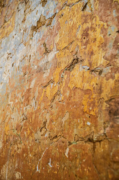 Textured Peeling Paint on an Old Plastered Wall